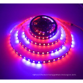 WS2813 5050 RGB LED Strip light 5M 300 Leds 60LED/M Individual Addressable 5V with factory price